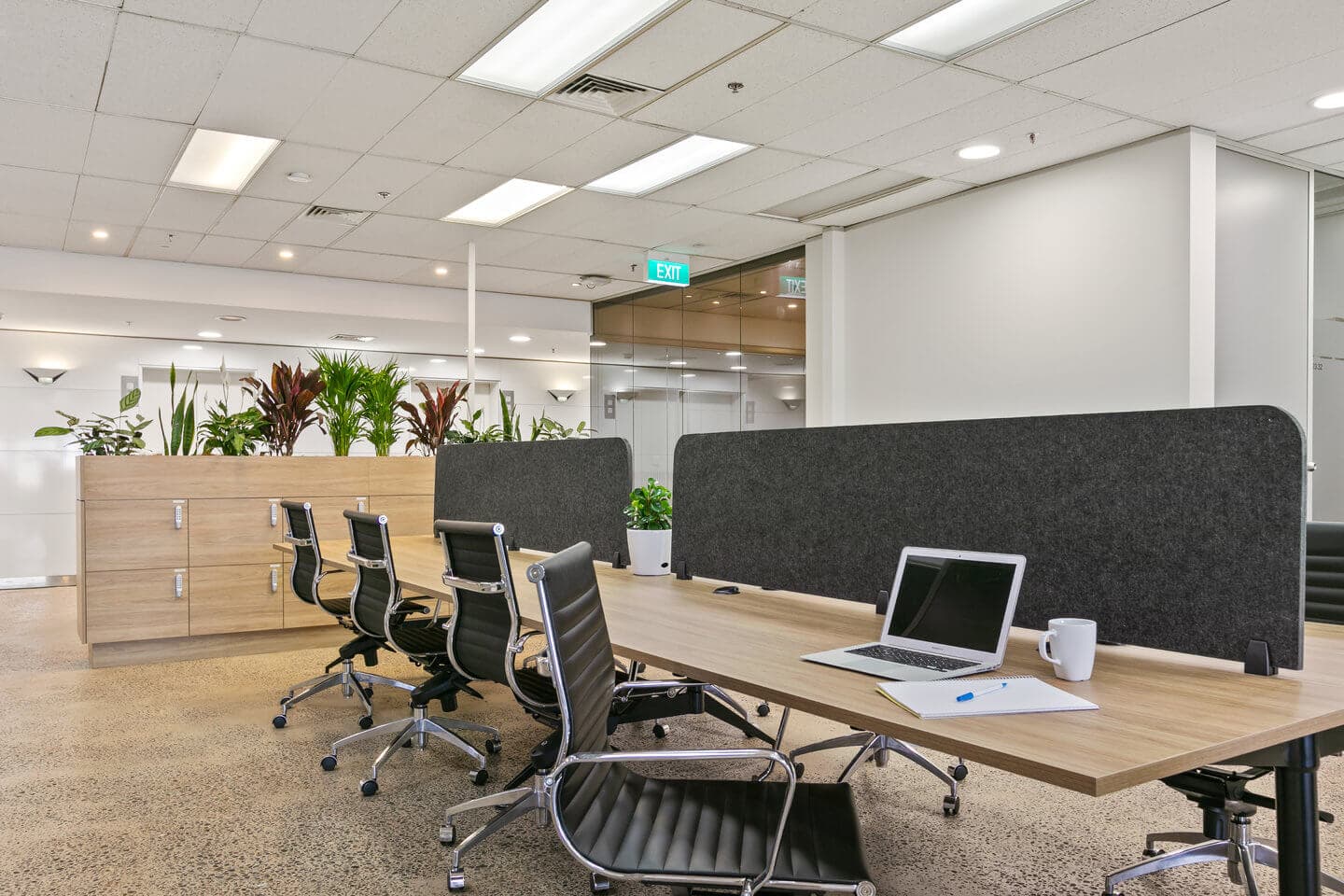 Modern office space with an open layout, featuring a long desk with black chairs, a laptop, notebook, and mug. There are plants on the desk and in planters in the background. Bright lighting and light-colored flooring complete the scene.