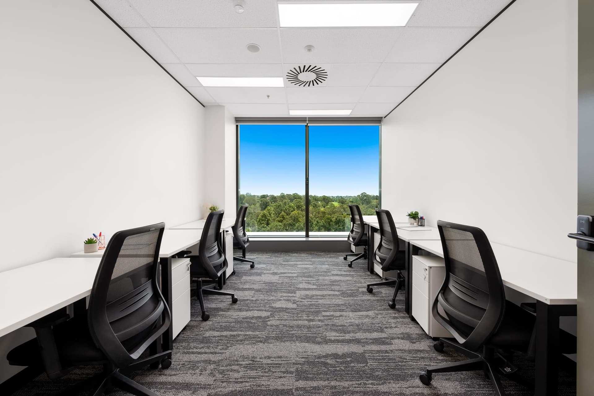 Modern office space with six black mesh chairs at white desks. Large window at the end offers a view of trees and blue sky. Neutral-colored walls and carpeted floor with small potted plants on some desks.