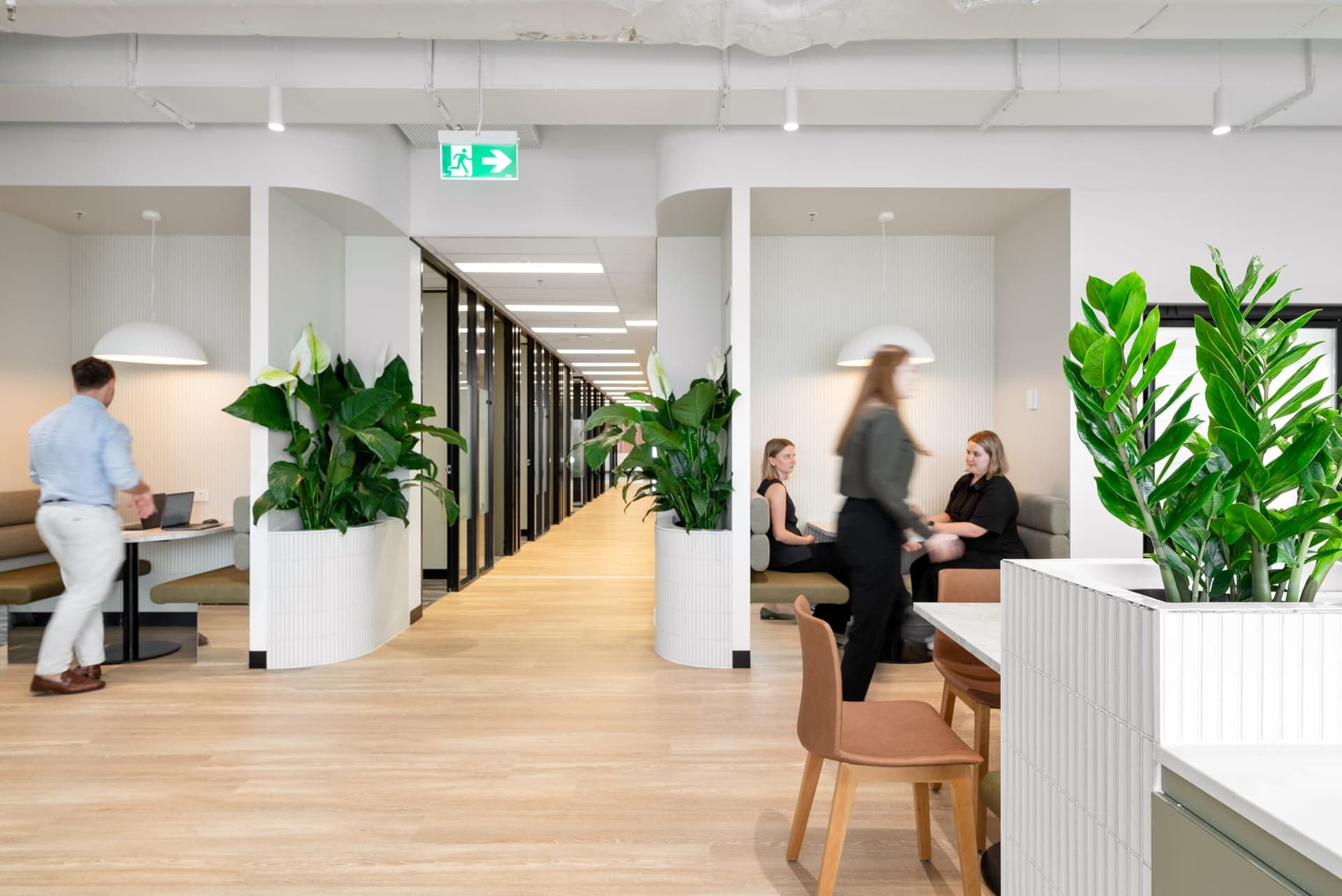 A modern office space with light wood flooring and white walls. People are sitting and conversing in seating areas next to large potted plants. Theres a hallway with closed doors in the background and a wall-mounted lamp overhead.
