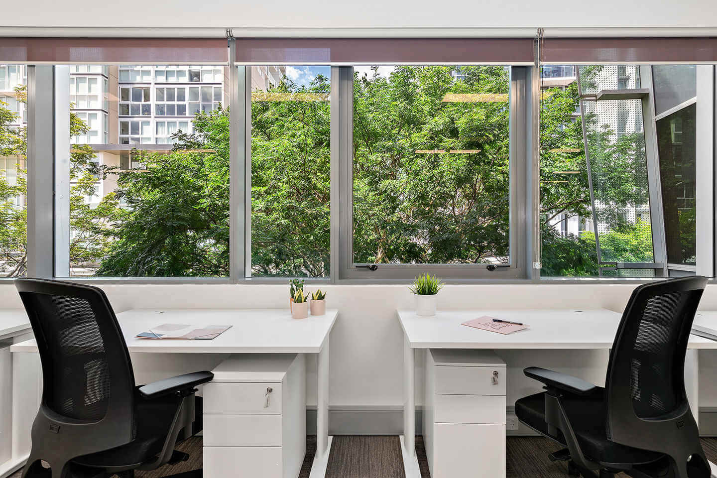 Two clean, modern desks with black chairs face a large window showcasing a view of leafy green trees and nearby buildings. Each desk has small office supplies and potted plants, creating a bright and organized workspace.